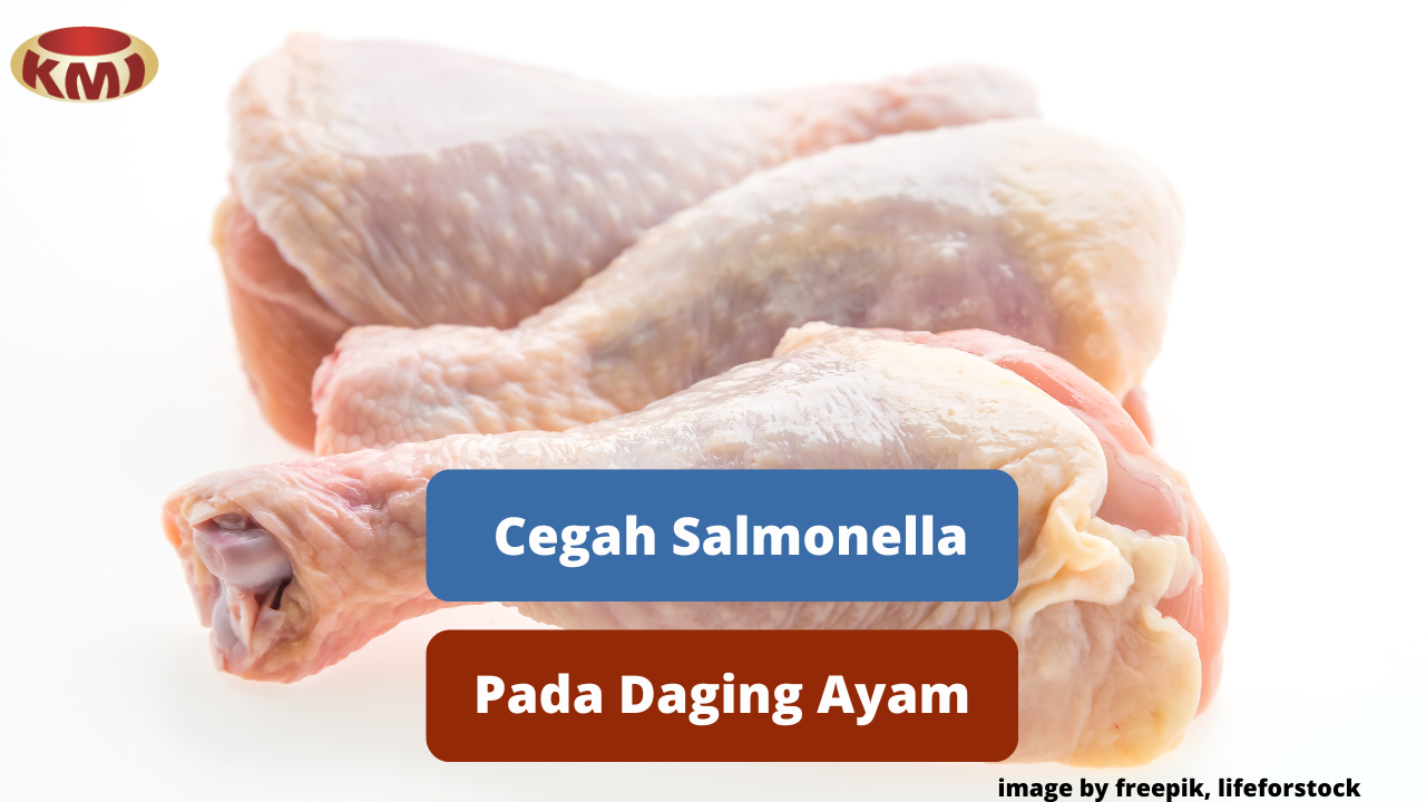 Berikut Ini Cara Mencegah Kontaminasi Salmonella Pada Daging Ayam